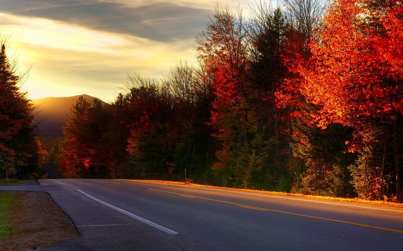 Road Through Autumn Forest — Red, Serene, Sunset