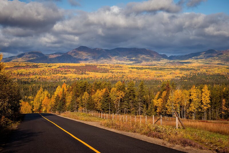 Road Through Autumn Forest — Yellow, Dramatic, Photograph, Mountains