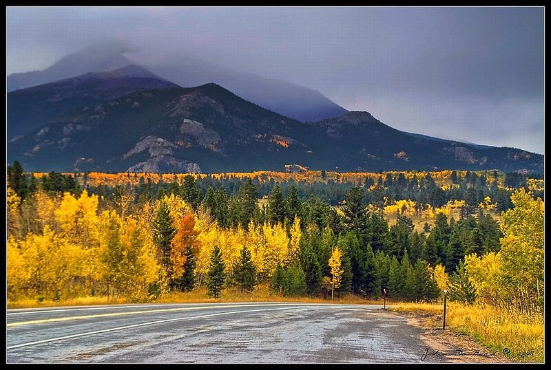 Road Through Autumn Forest — Yellow, Dramatic