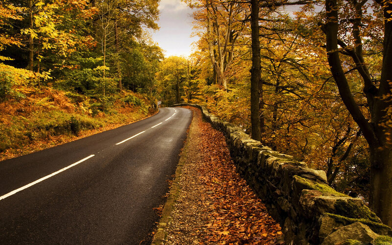 Road Through Autumn Forest — Yellow, Serene, Photograph, Trees, Stone Wall, Leaves