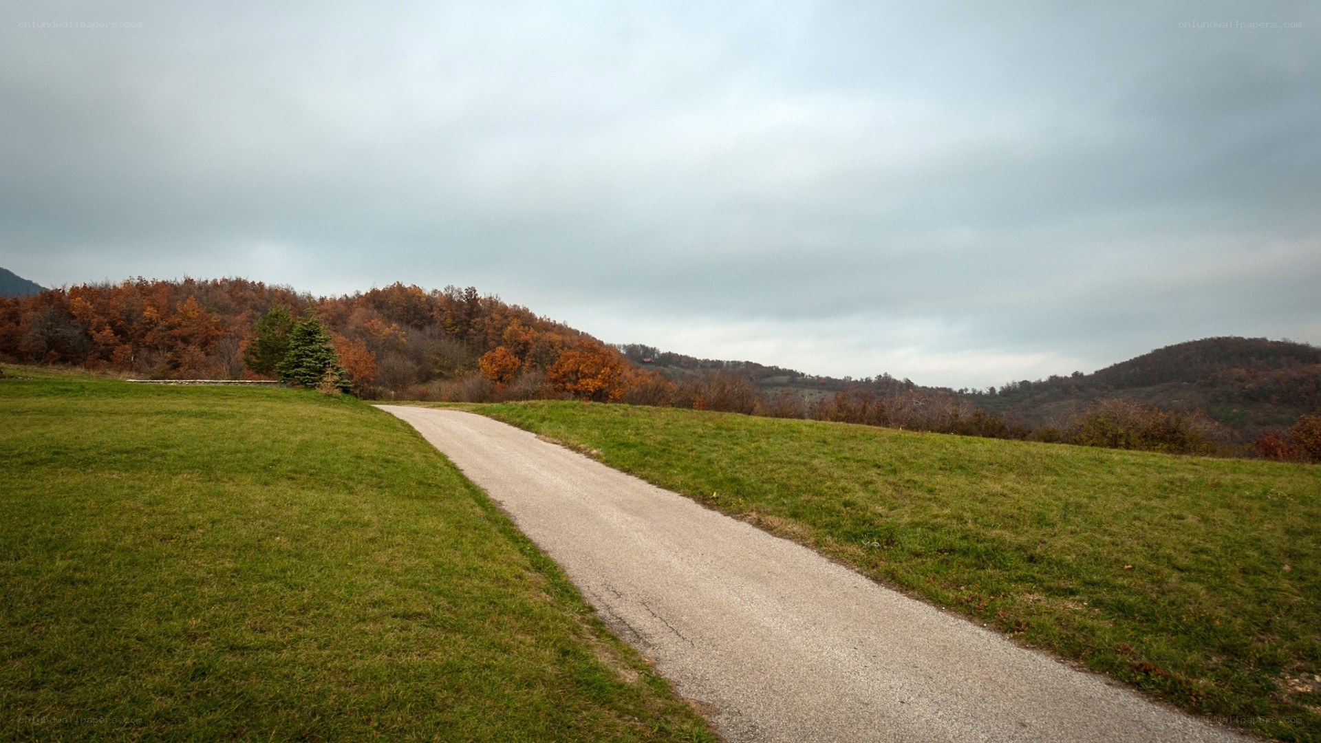 Road through autumn hills