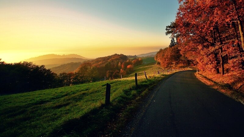 Road Through Autumn Hills — Orange