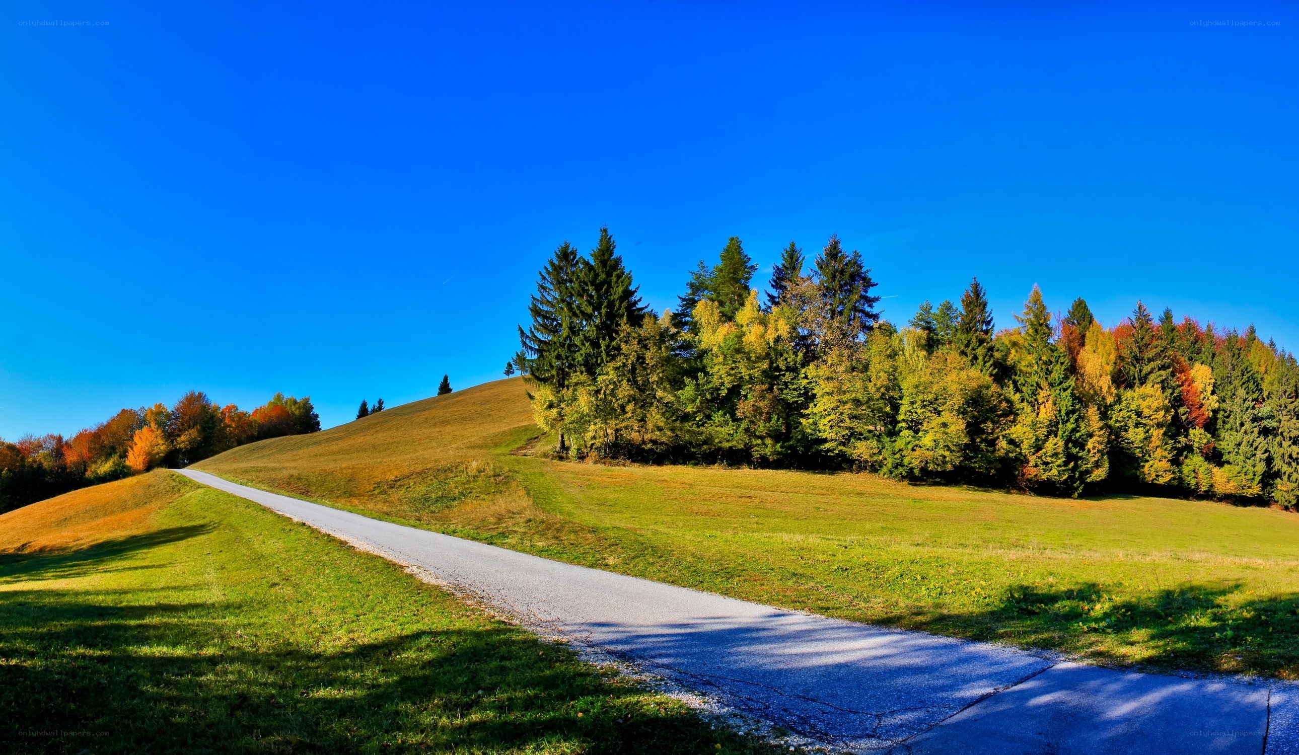 Road through autumn hills