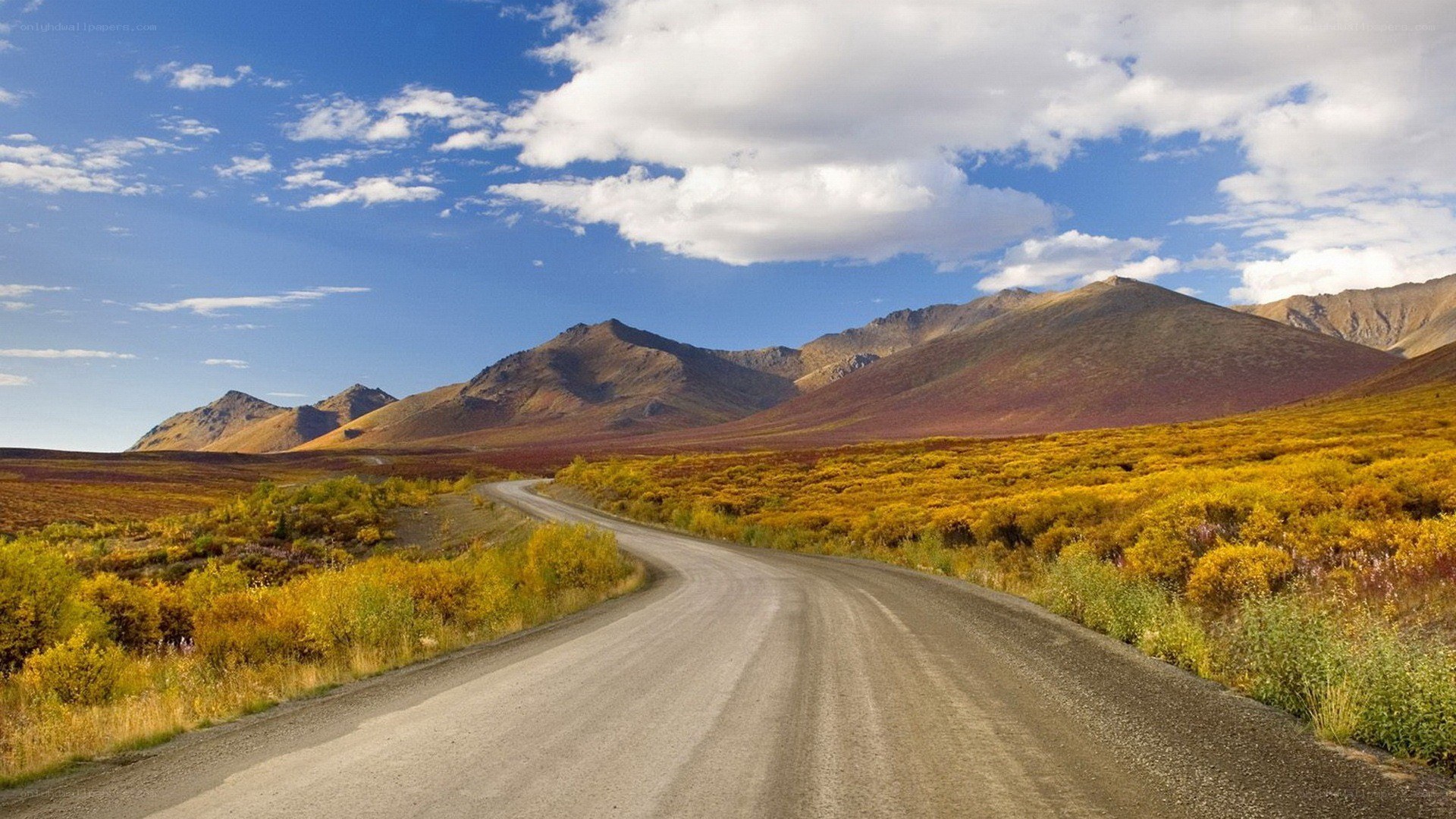 Road through autumn mountains