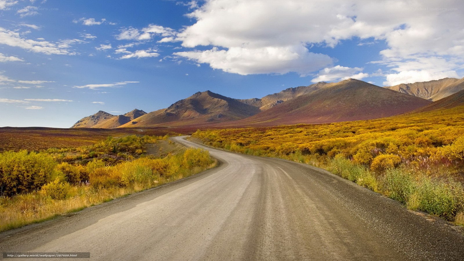 Road through autumn mountains