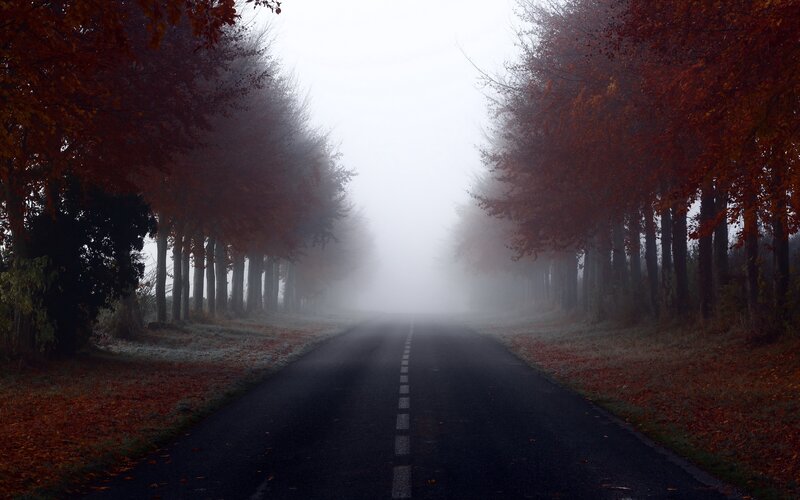 Road Through Autumn Trees — Red, Misty