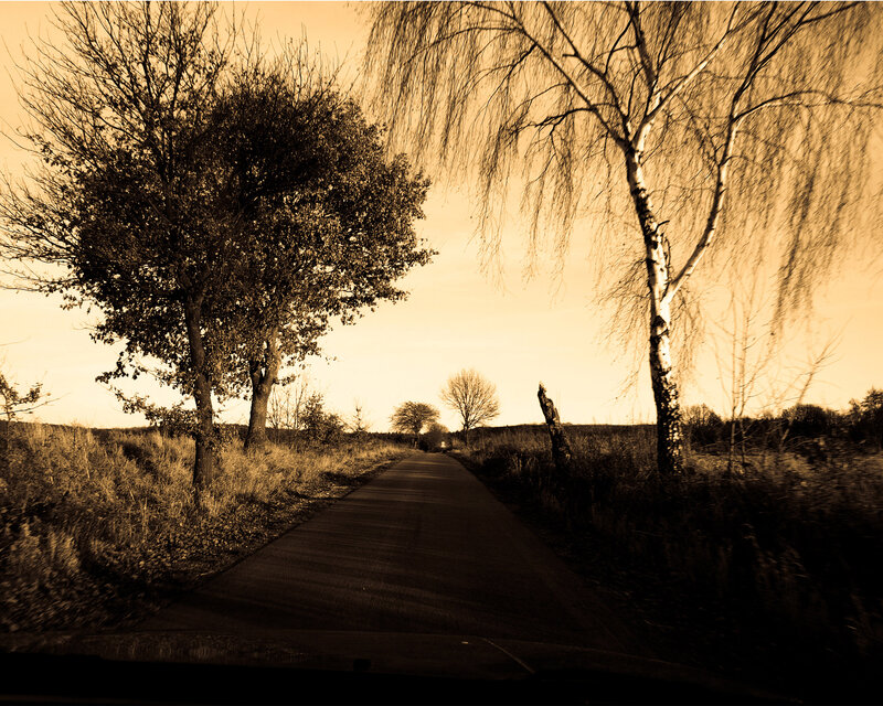 Road through autumn trees