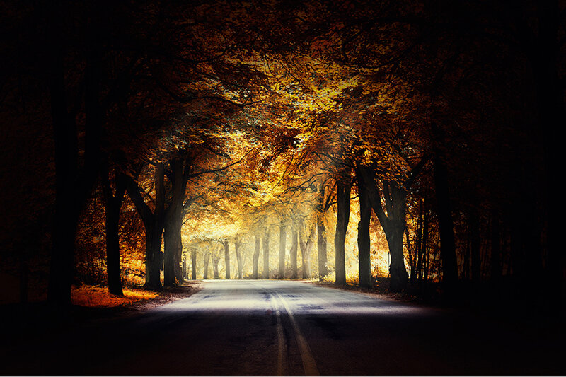 Road Through Autumn Trees — Yellow, Dramatic