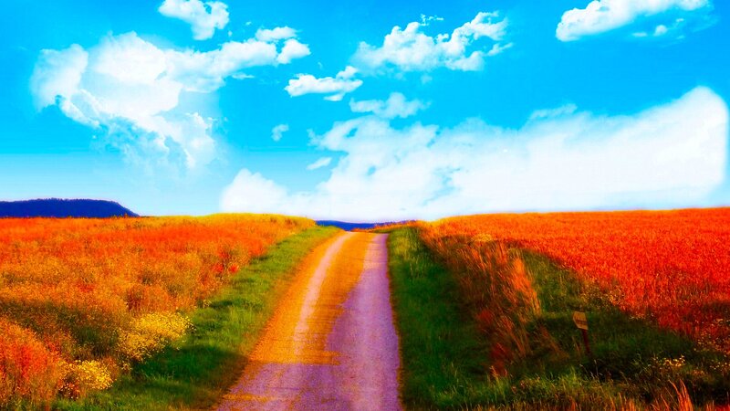 Road through colorful fields