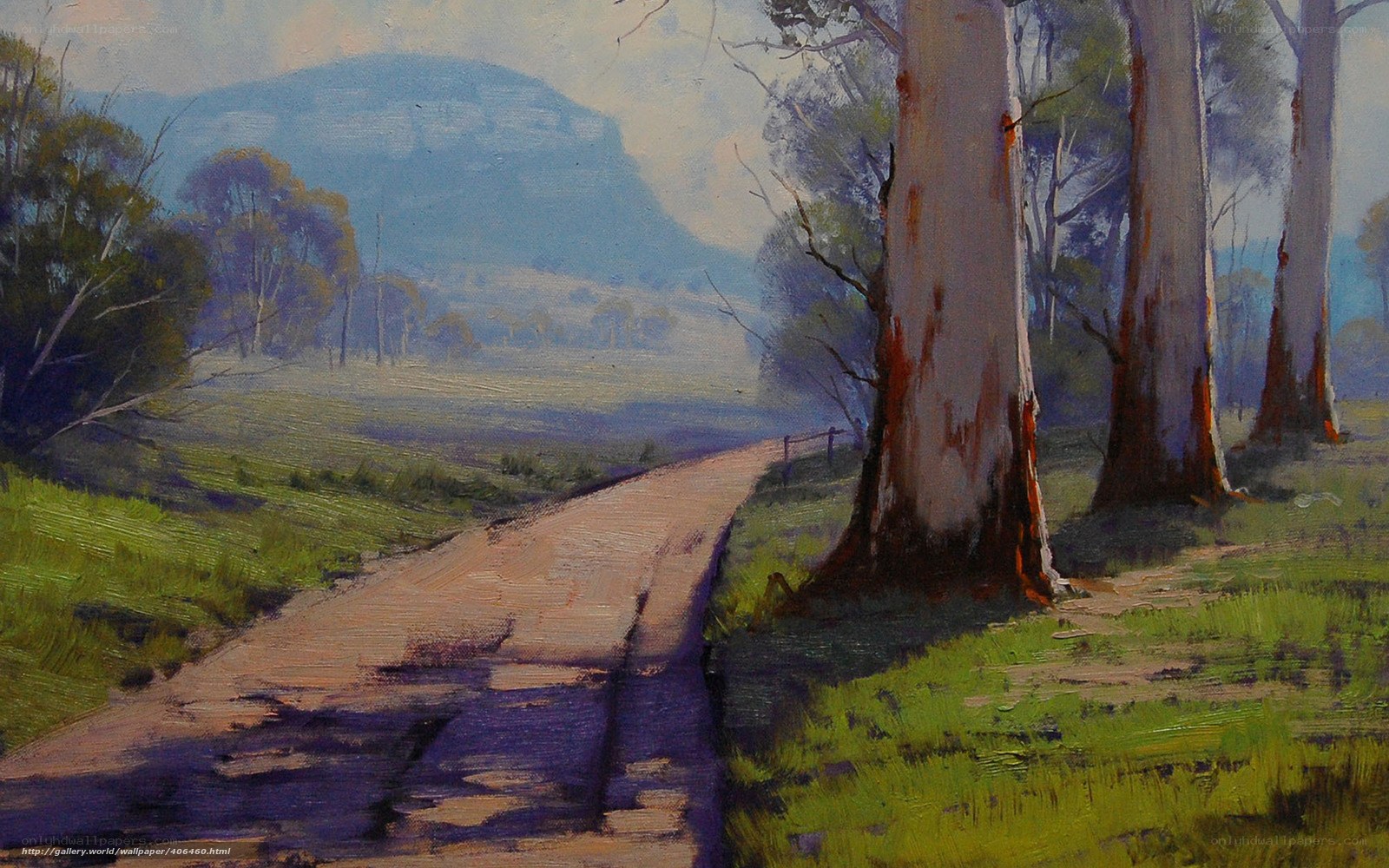 Road through Eucalyptus Forest