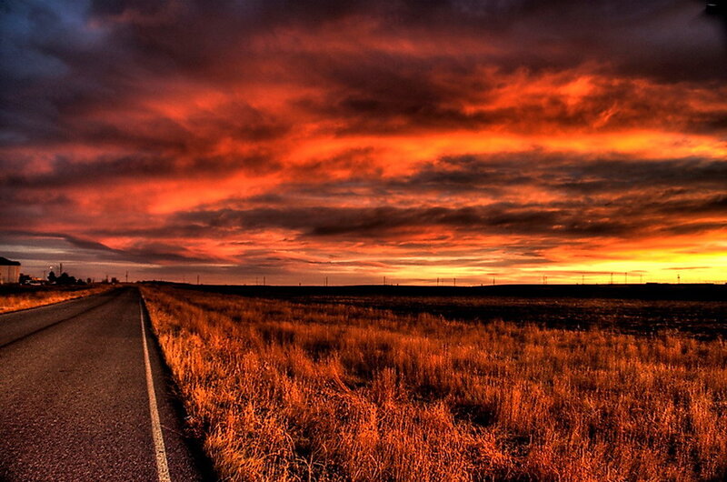 Road Through Field at Sunset
