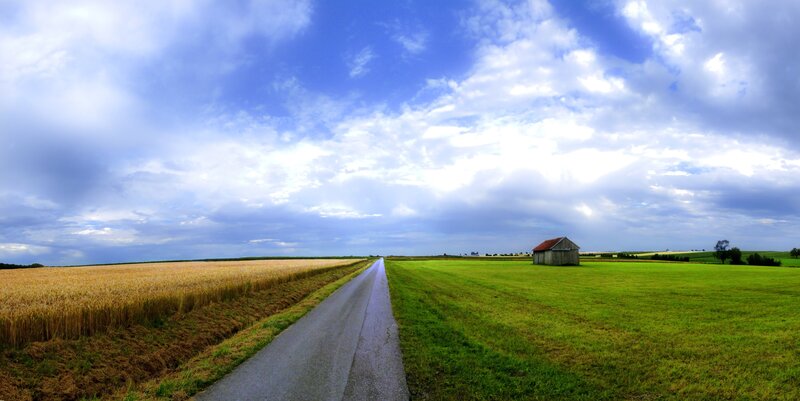 Road Through Fields