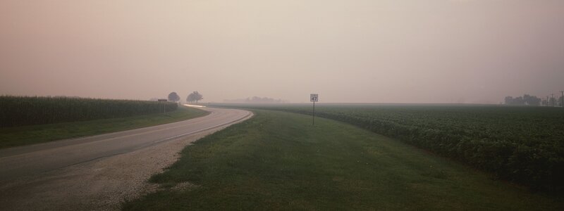 Road through foggy farmland