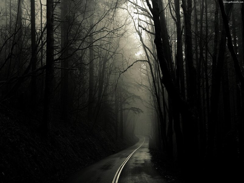 Road Through Foggy Forest — Black, Dark
