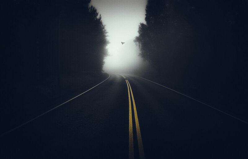 Road Through Foggy Forest — Black