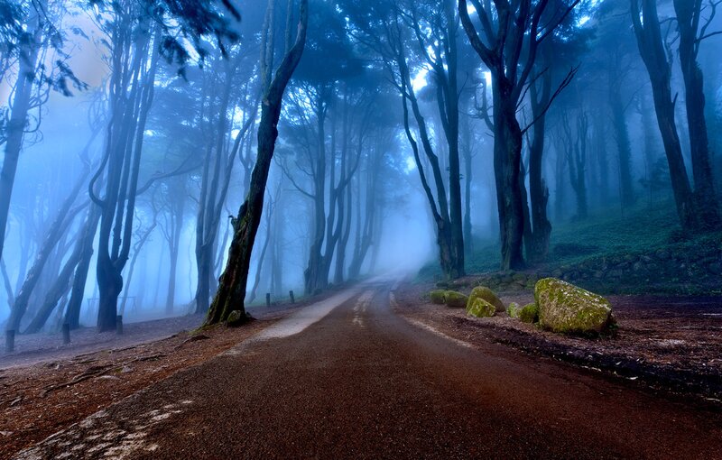 Road Through Foggy Forest — Blue, Mysterious, Night