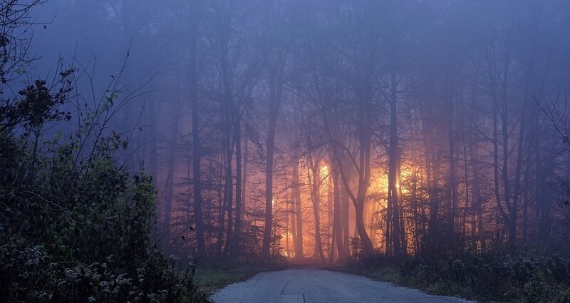 Road Through Foggy Forest — Blue, Mysterious, Sunset