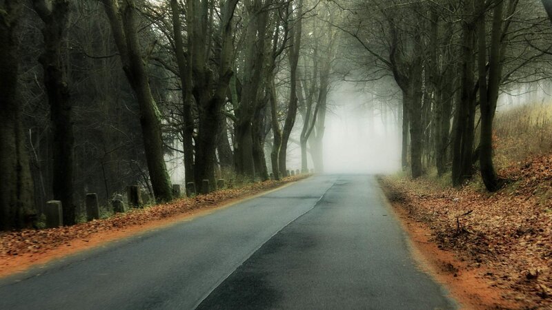 Road Through Foggy Forest — Gray, Misty, Autumn