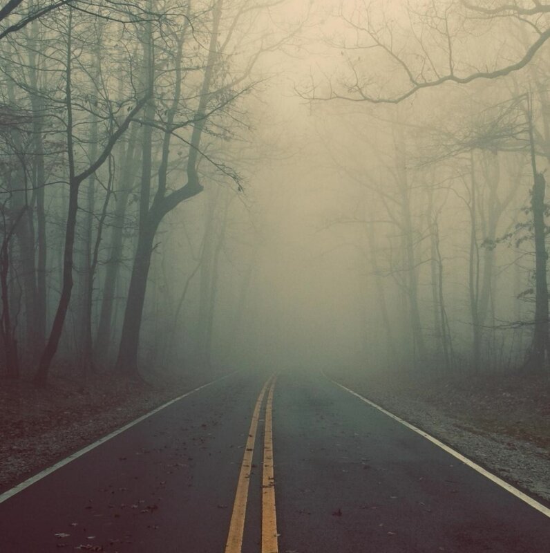Road Through Foggy Forest — Gray
