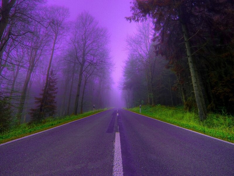 Road Through Foggy Forest — Purple
