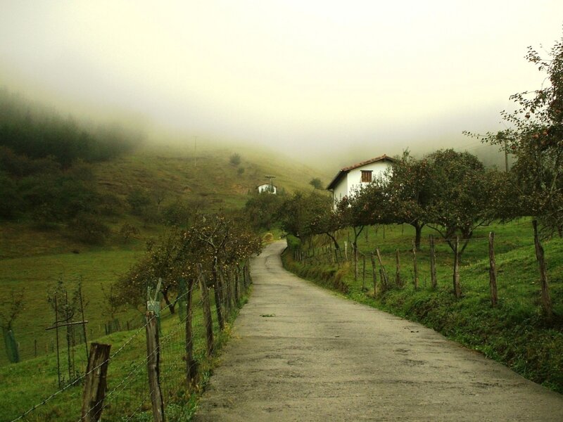 Road Through Foggy Hills