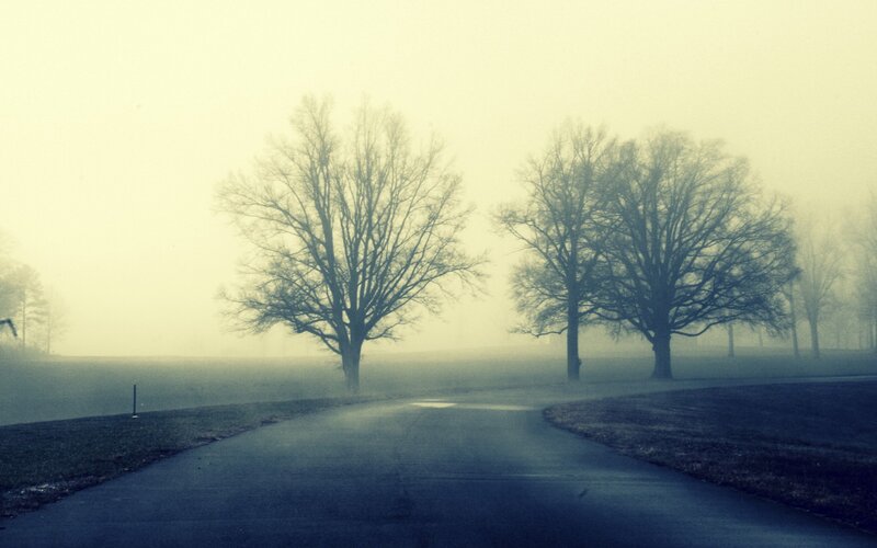 Road Through Foggy Park