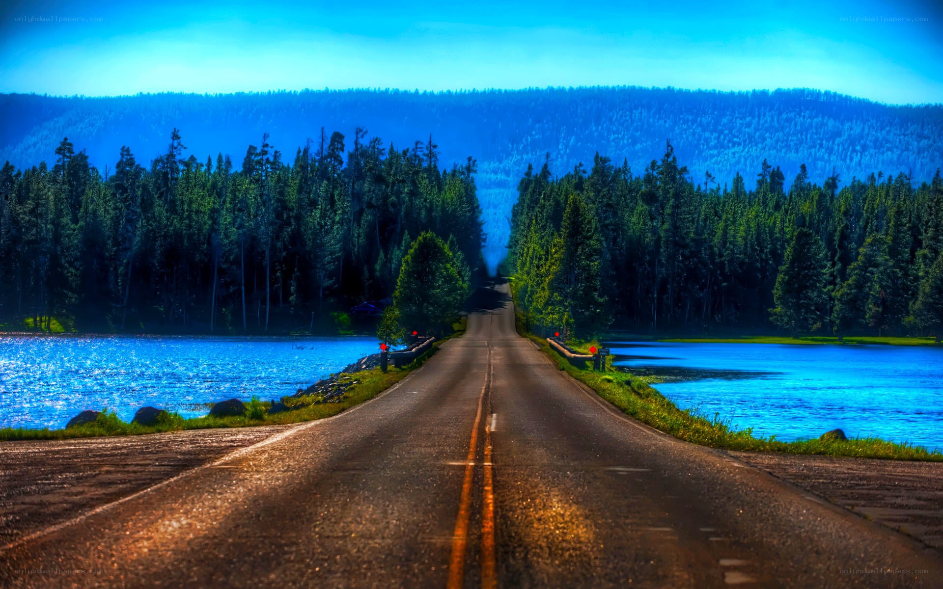 Road through forest and lake