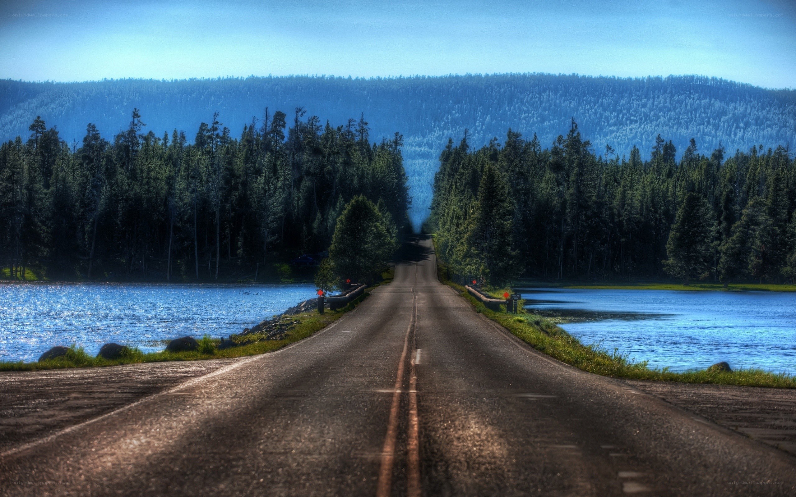 Road through forest and lake