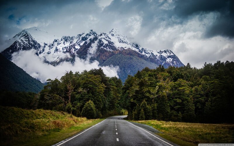 Road Through Forest and Mountains — Green