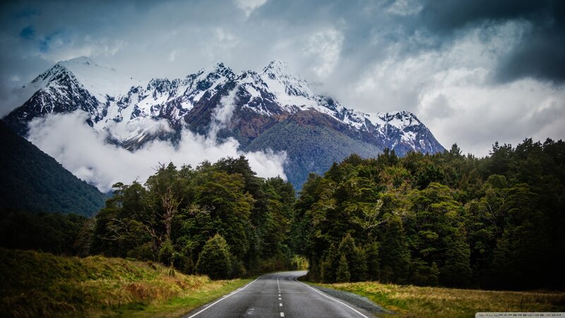 Road Through Forest and Mountains