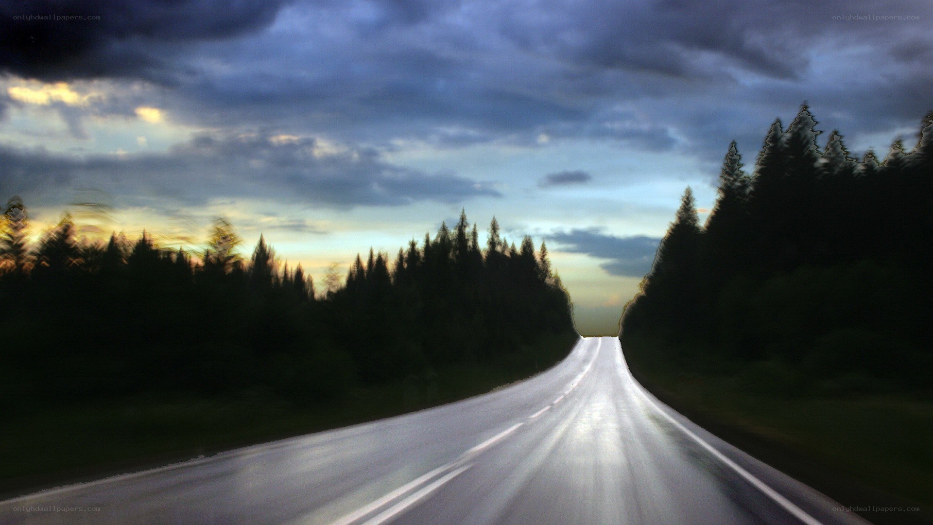Road through forest at dusk
