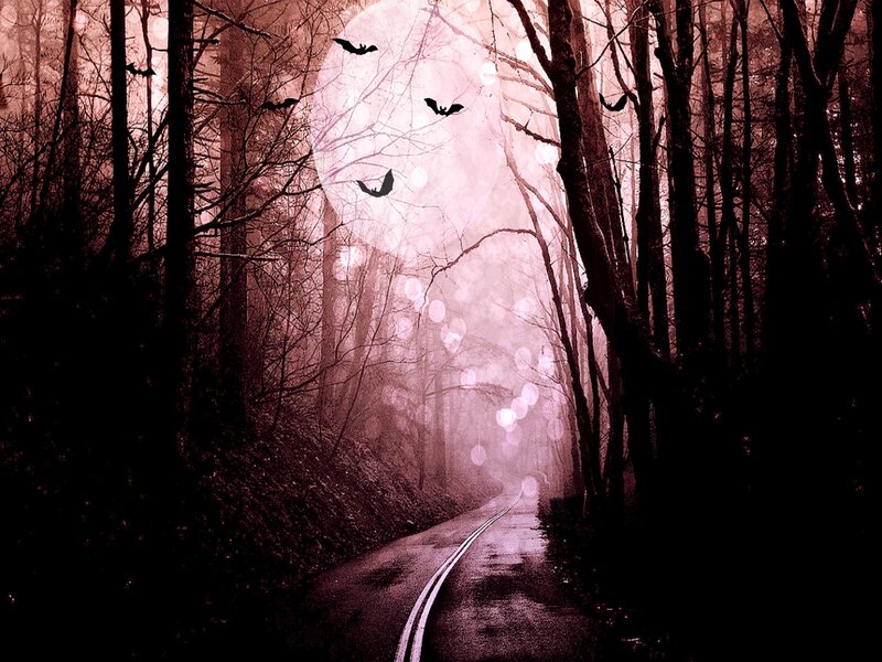 Road Through Forest at Night — Black, Eerie
