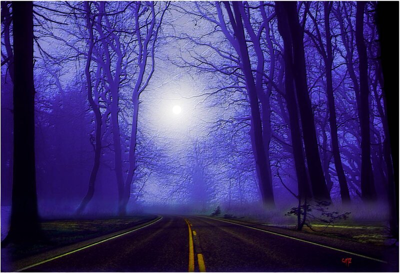 Road Through Forest at Night — Purple