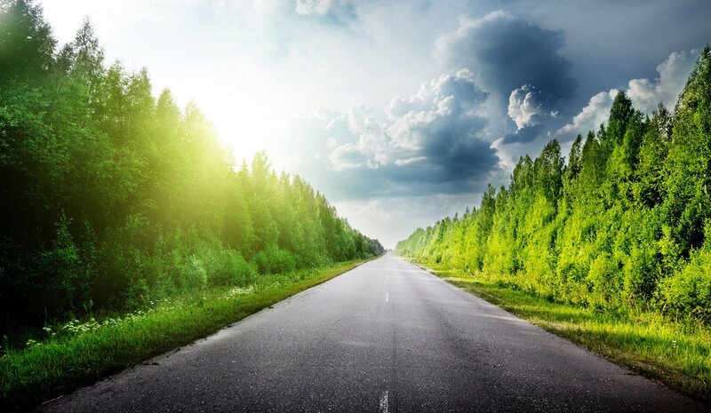 Road through forest at sunrise