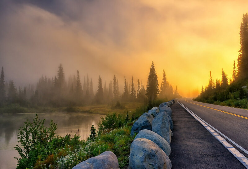 Road Through Forest at Sunrise — Yellow