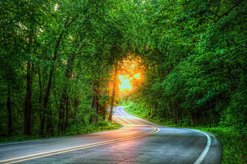 Road through forest at sunset