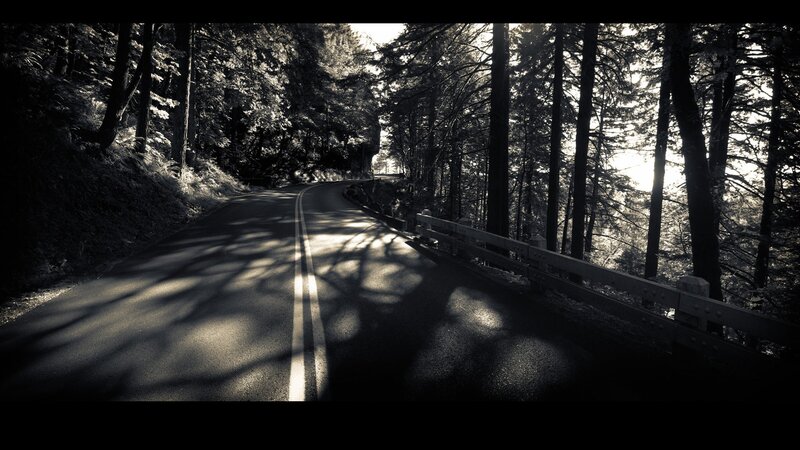 Road through forest at sunset