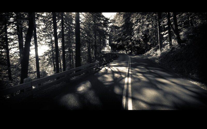 Road through forest at sunset