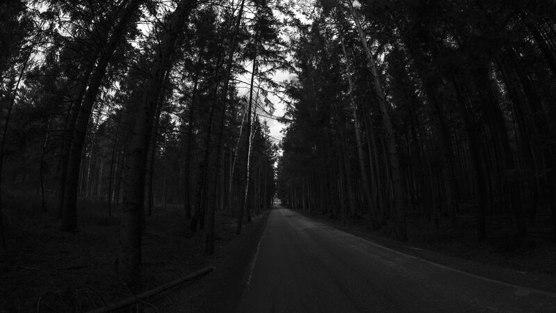 Road Through Forest — Black, Dark
