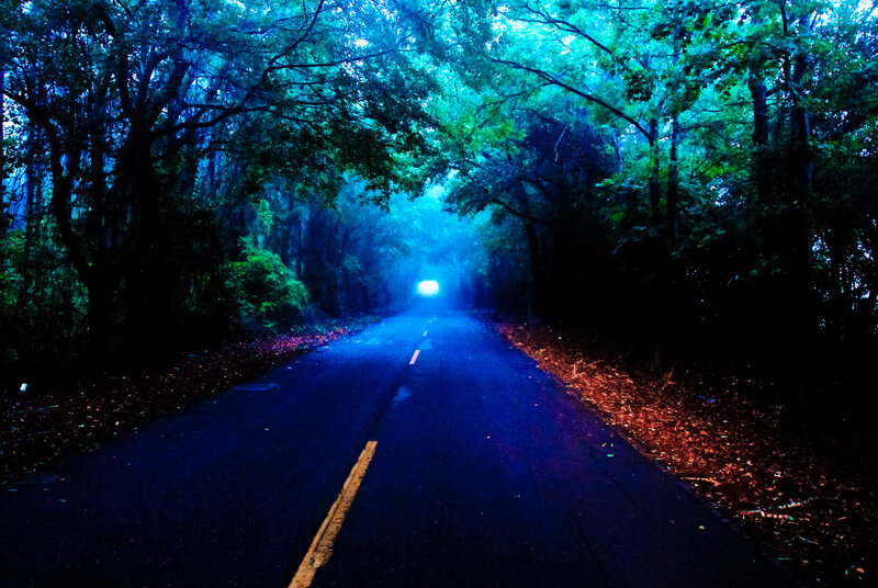 Road Through Forest — Blue, Mysterious