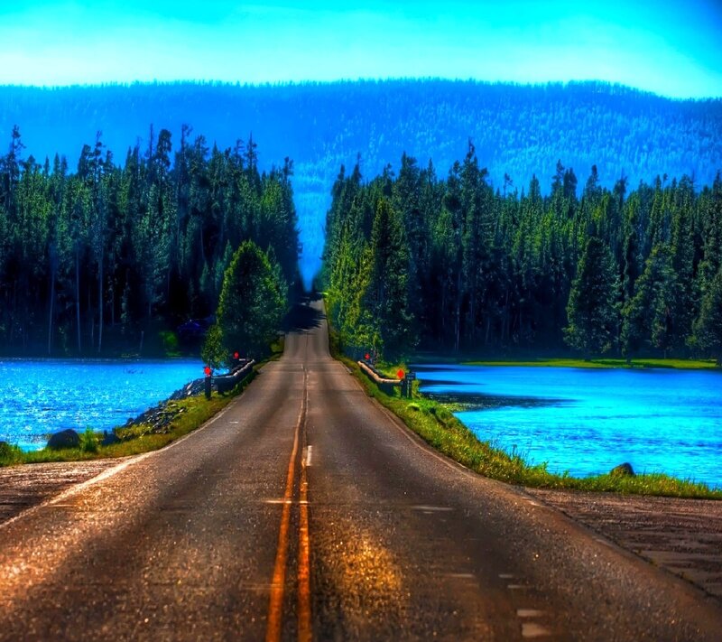 Road Through Forest — Blue, Serene, Afternoon