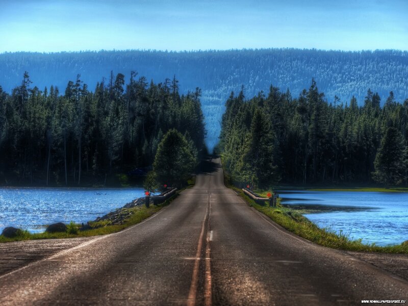 Road Through Forest — Blue, Serene