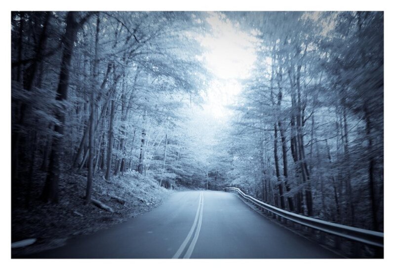 Road Through Forest — Blue