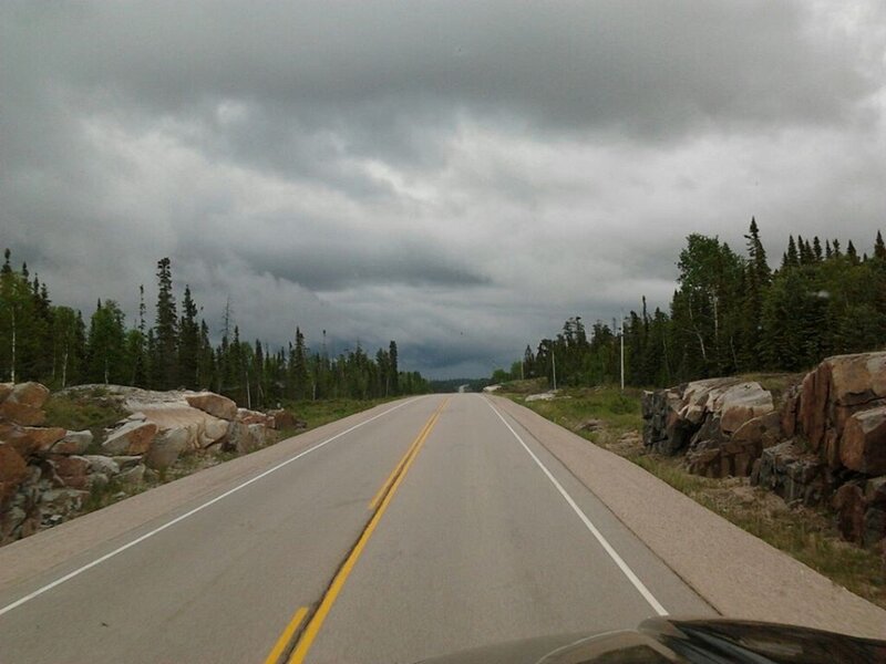 Road Through Forest — Gray