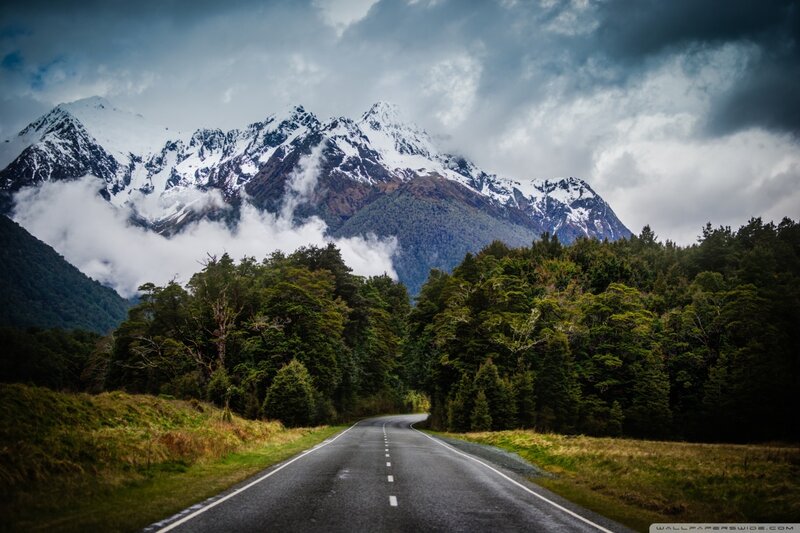 Road Through Forest — Green, Dramatic, Photograph
