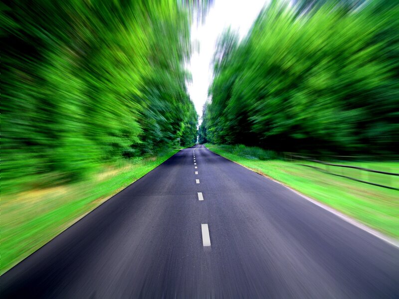 Road Through Forest — Green, Dynamic