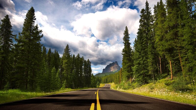 Road Through Forest — Green, Serene, Afternoon, Photograph, Trees, Mountain, Sky