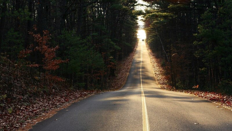 Road Through Forest — Green, Serene, Autumn, Photograph, Trees, Car, Leaves