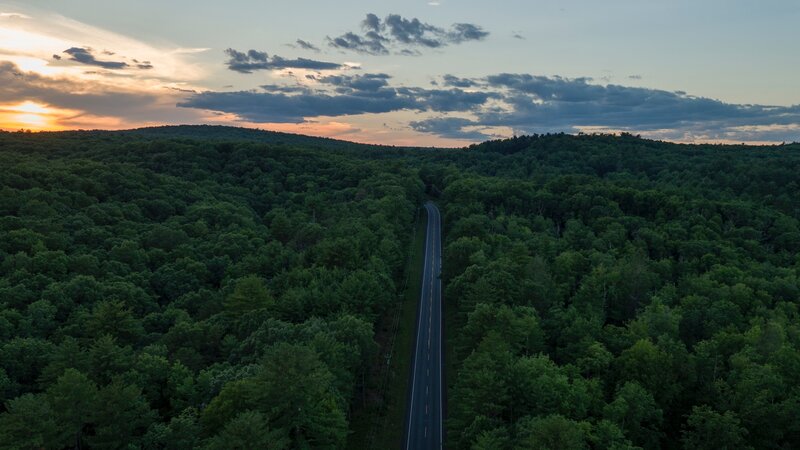 Road Through Forest — Green, Serene, Sunset