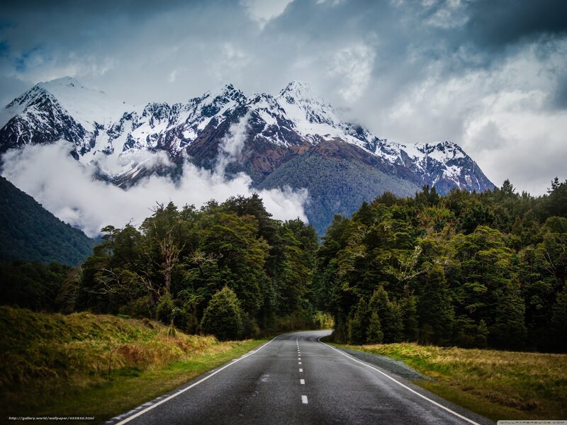 Road Through Forest Mountains